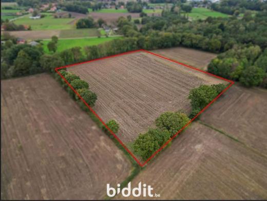 Image de présentation du bien n° 288421