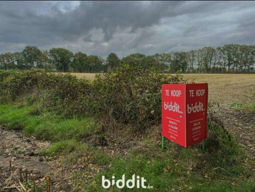 Première photo alternative du bien