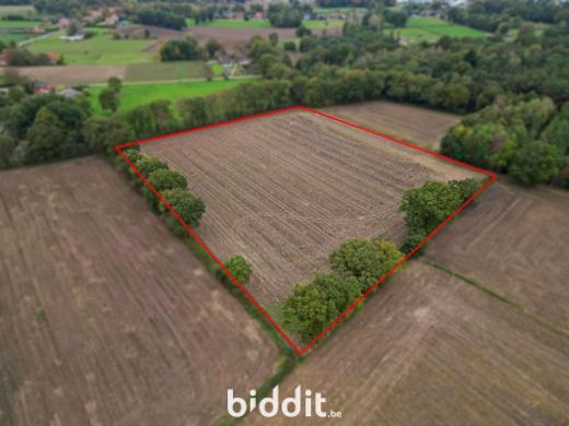 Image de présentation du bien n° 288422