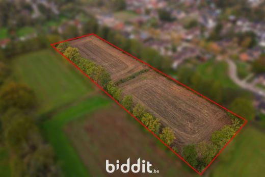 Image de présentation du bien n° 288422