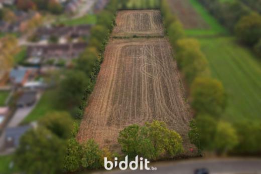 Troisième photo alternative du bien