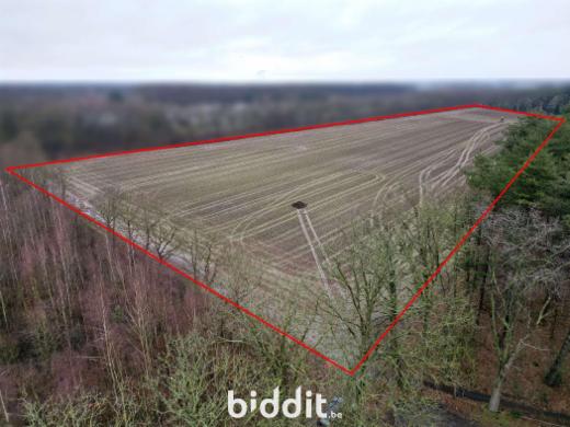 Image de présentation du bien n° 292475