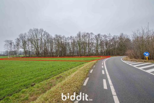Première photo alternative du bien