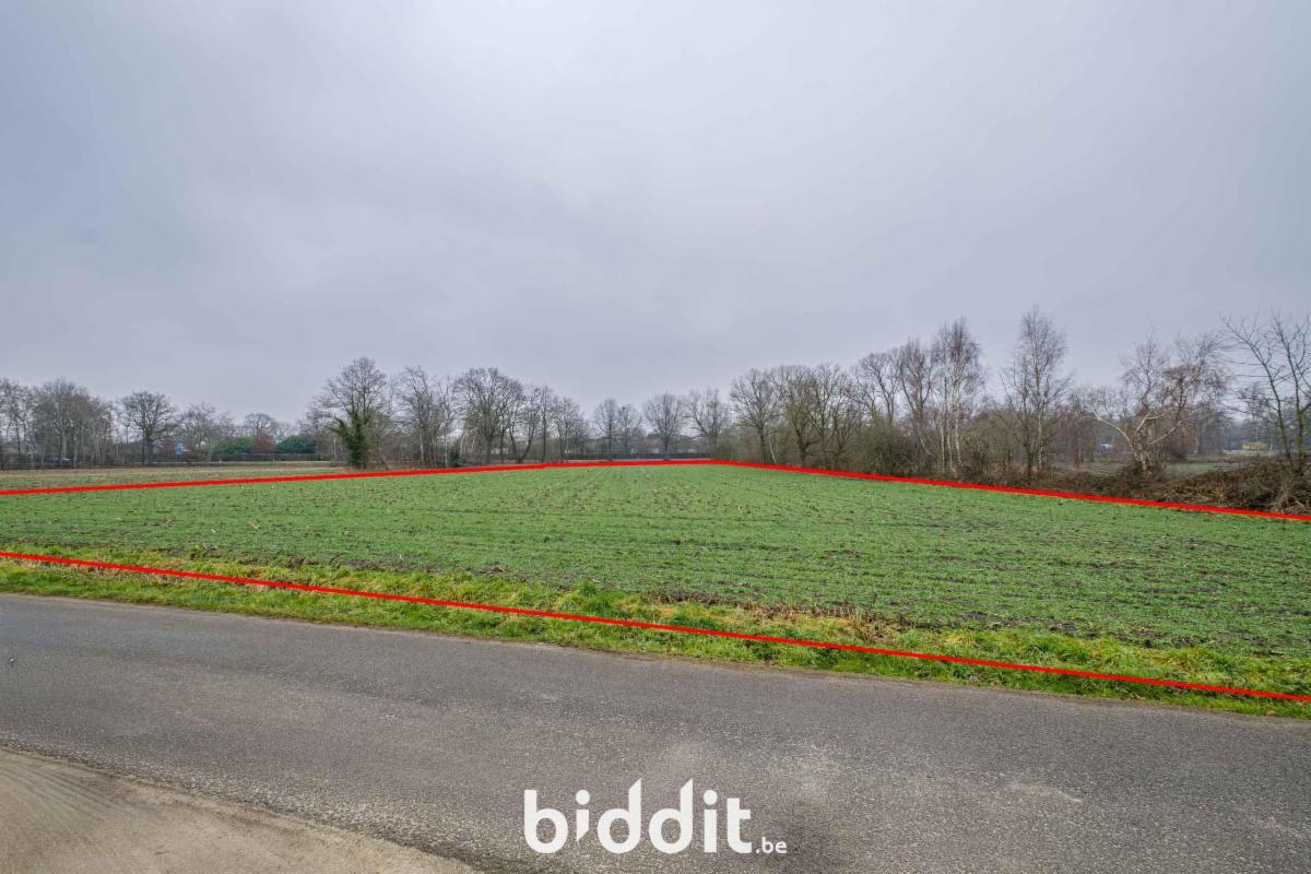 Image de présentation du bien n° 296521