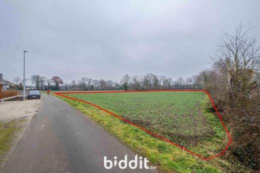 Première photo alternative du bien