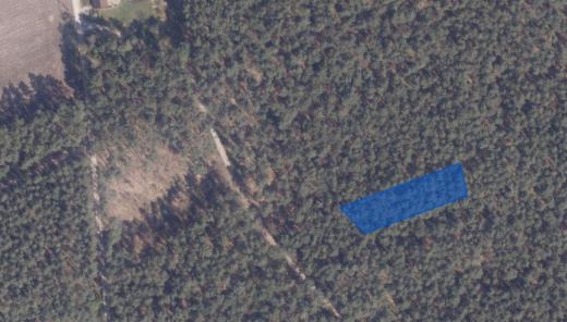 Première photo alternative du bien