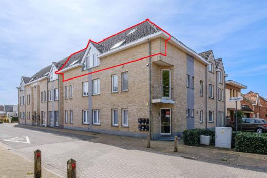 Image de présentation du bien n° 295997