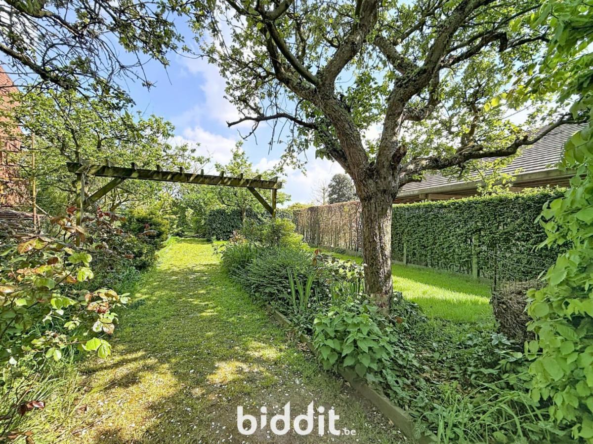 Image de présentation du bien n° 297591