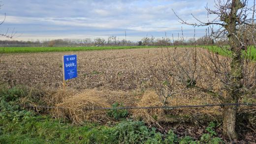 Image de présentation du bien n° 292712