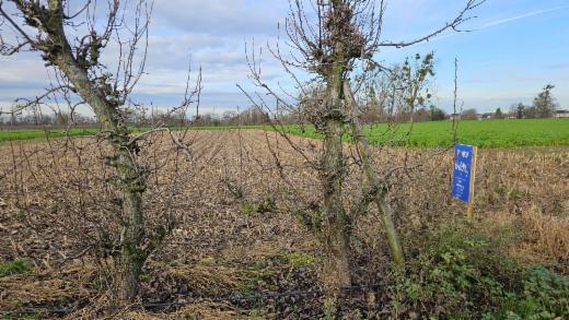 Première photo alternative du bien