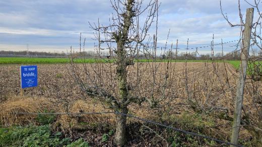 Seconde photo alternative du bien