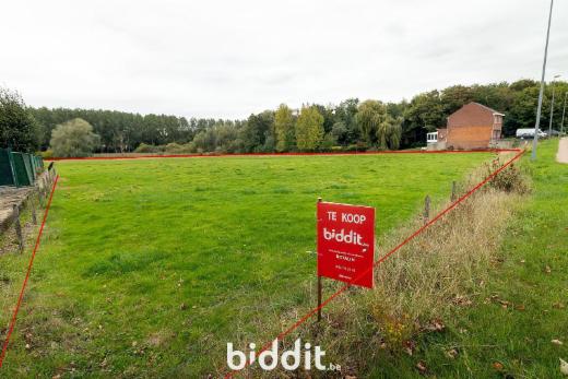 Image de présentation du bien n° 294539