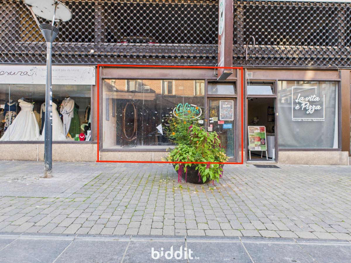 Image de présentation du bien n° 285801