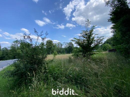 Première photo alternative du bien