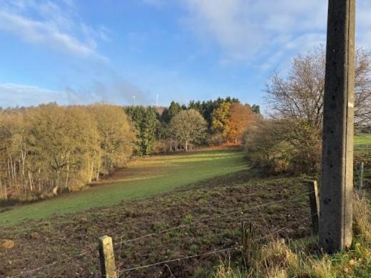 Image de présentation du bien n° 290320