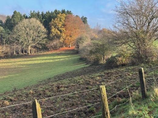 Seconde photo alternative du bien