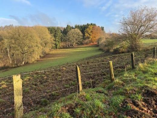 Troisième photo alternative du bien