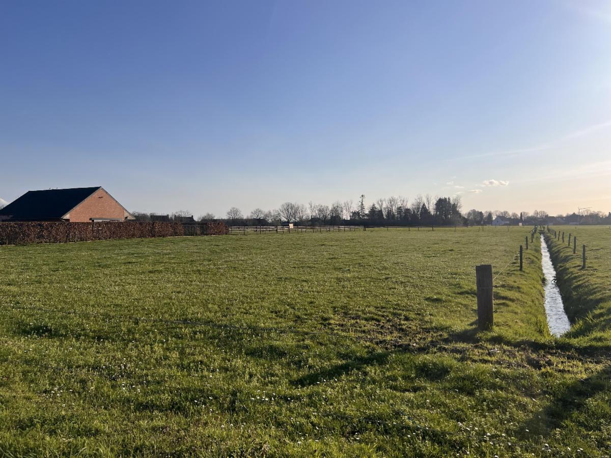 Image de présentation du bien n° 294151