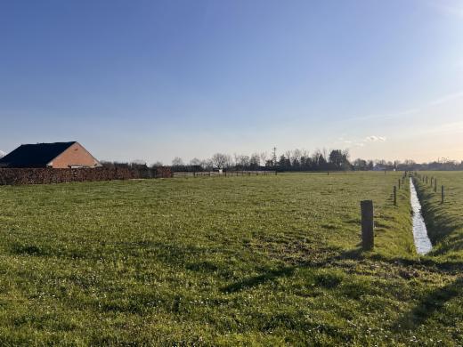 Image de présentation du bien n° 294151