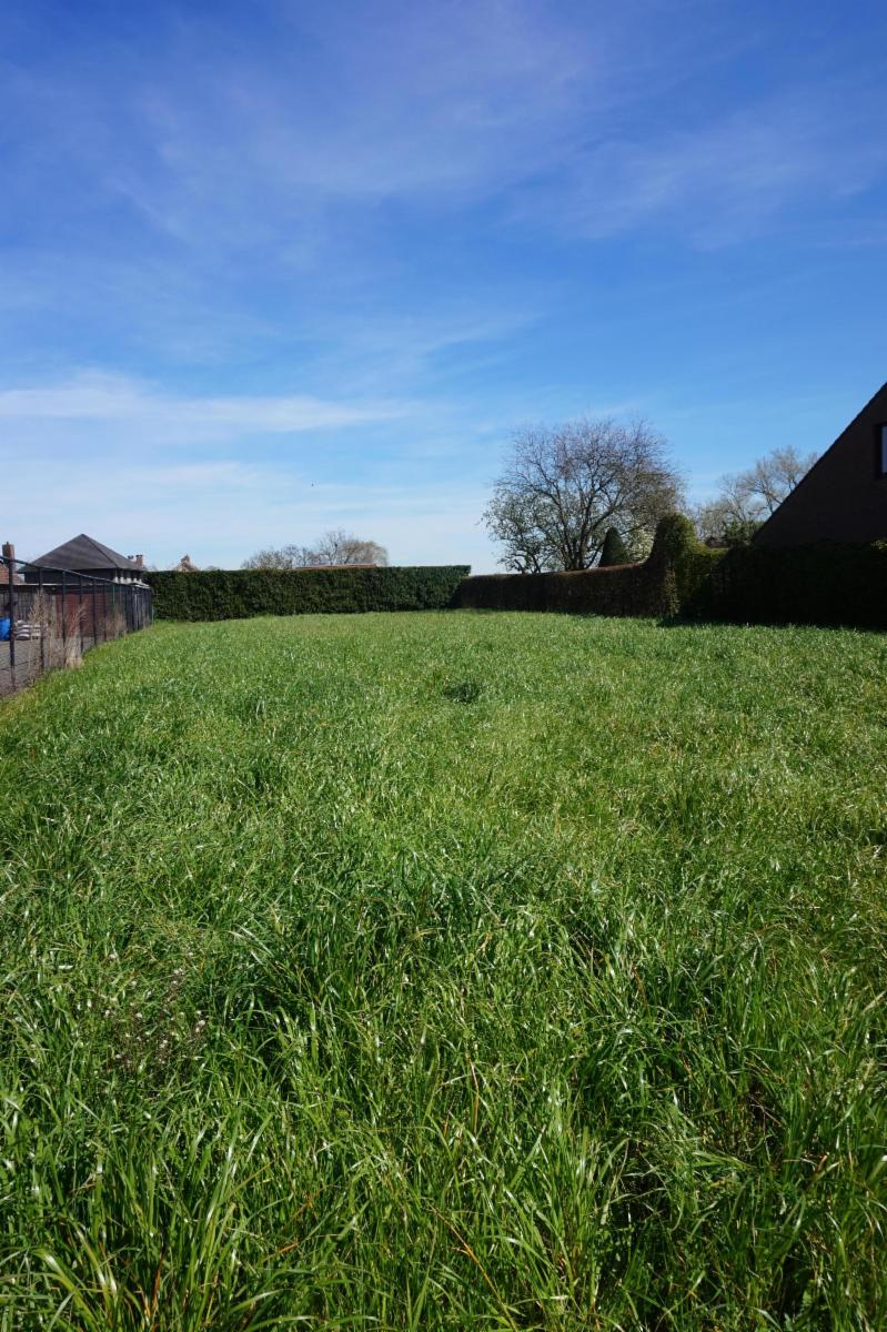 Image de présentation du bien n° 295090