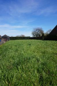 Image de présentation du bien n° 295090