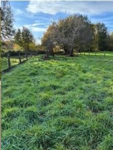 Seconde photo alternative du bien