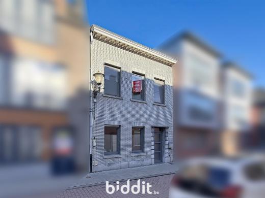 Image de présentation du bien n° 294520